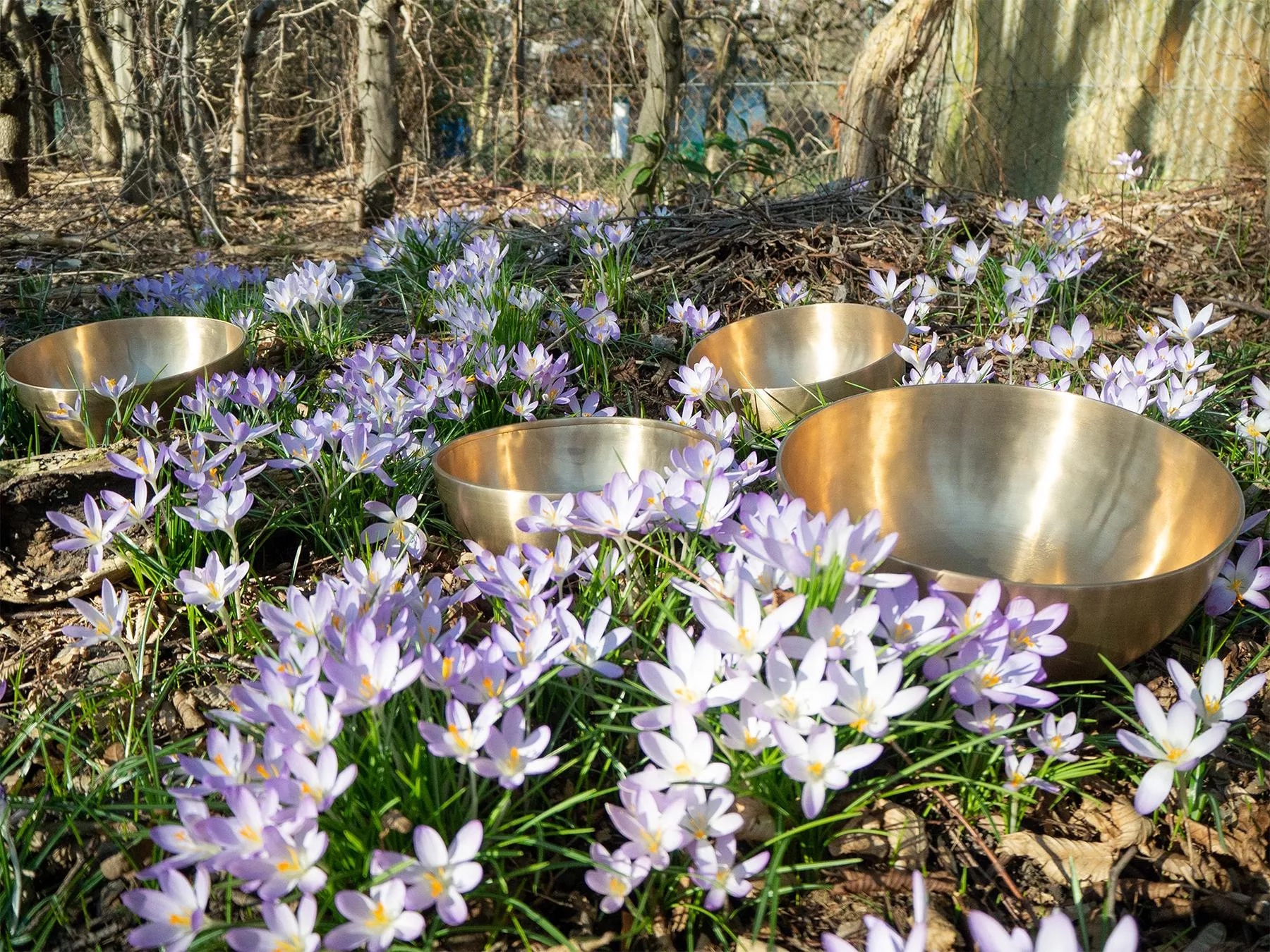 Fernclearing & Gong – Energetische Hausreinigung