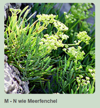 Ätherische Essenzen